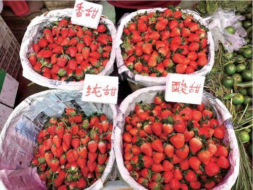 水莓100國產(chǎn),探尋100國水莓種植奧秘