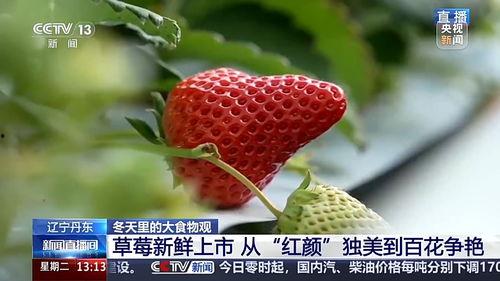 草莓國產(chǎn)視頻